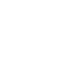 footer-github-logo